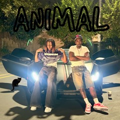 ANIMAL ft . WeLoveYouMonty