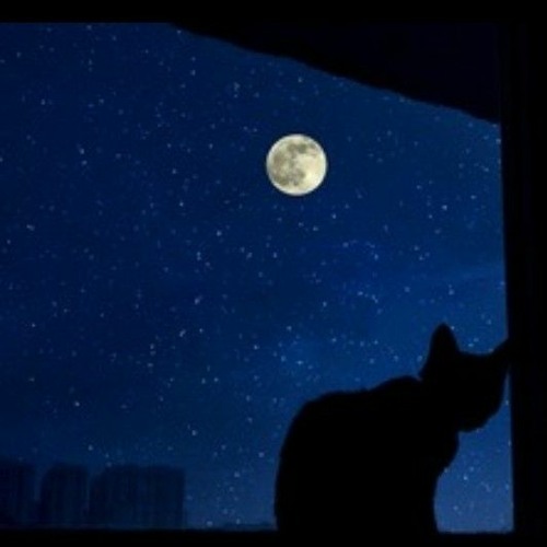 glimmer