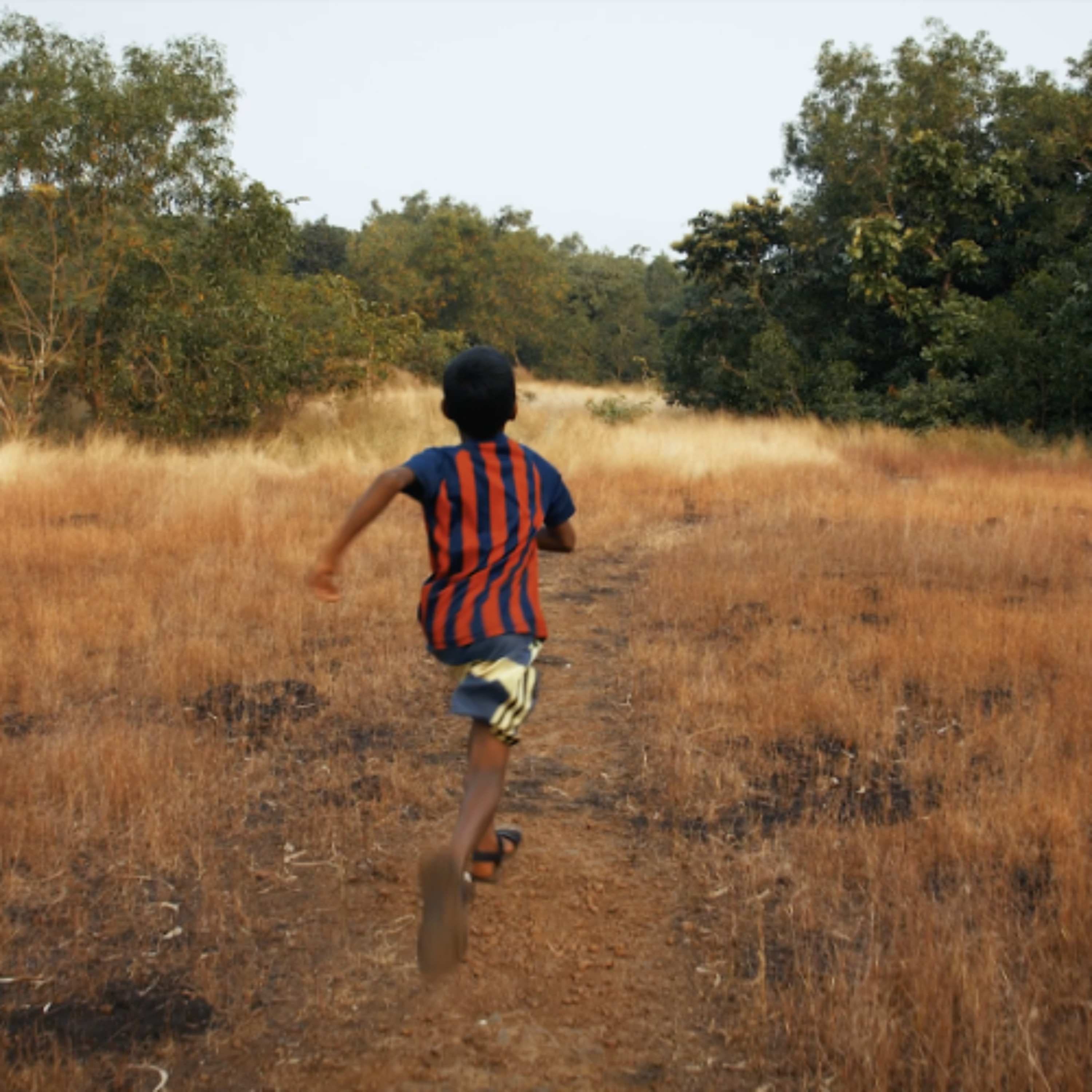 Hudson Mohawk Magazine