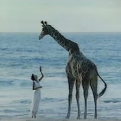 vcr-classique - atlantic memories