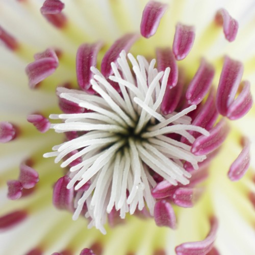 Progressive trance track 1995