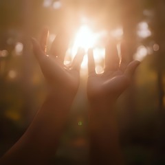 Matthew Plante - HOLY VIBES