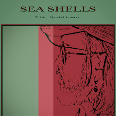 Tim Muddiman | Sea Shells