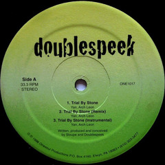 Doublespeek ‎– Trial By Stone (1996)