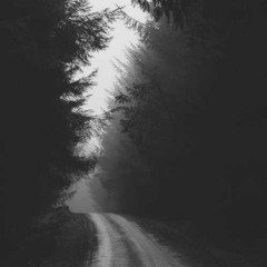 Where the Trees Remember Me