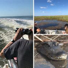Review Special Price Everglades Day Safari From Ft Lauderdale