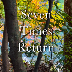 Facebook Seven Times Return 250402