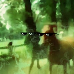 morgan likes to watch the horses race VIP