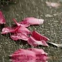 سكنتم فؤادي .mp3