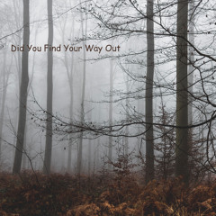 Glyn Hyde - Did You Find Your Way Out 2020