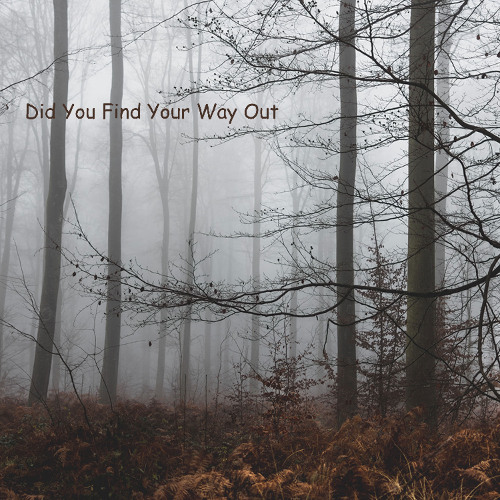 Glyn Hyde - Did You Find Your Way Out 2020