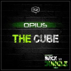Opius - The cube / Back to Jungle vol.2 LP / clip