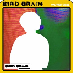 Bird Brain
