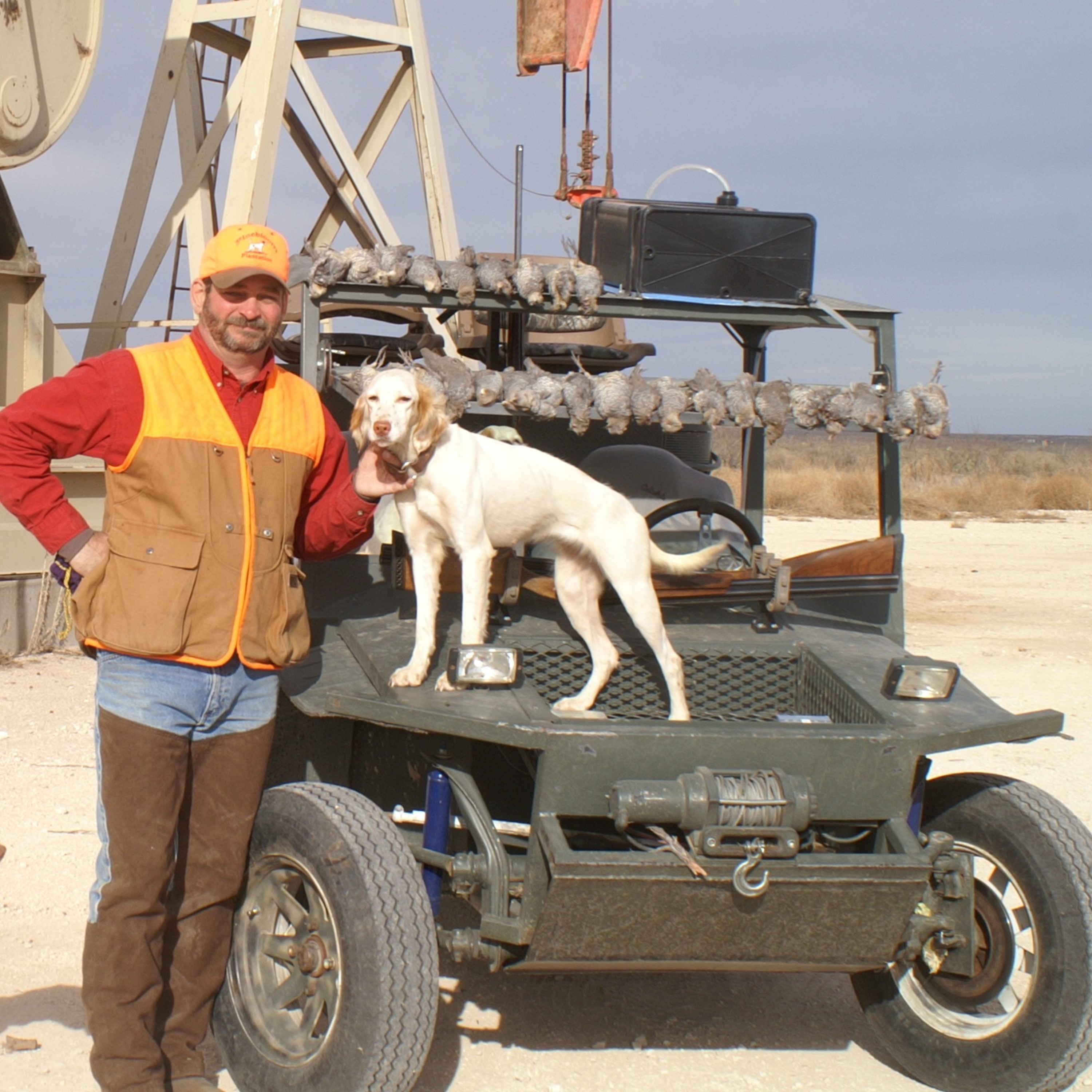 Dr. Dale on Quail