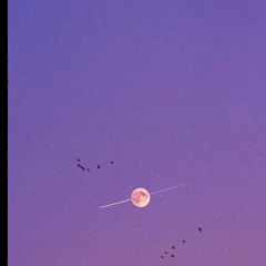 11:11 (PRIVAT3SCL XCLSV MIX)
