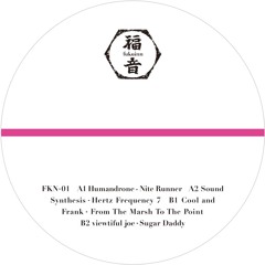 A1 Humandrone - Nite Runner
