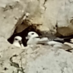 Lost In You (Very Rough Demo)