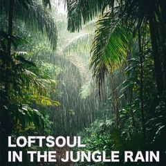 IN THE JUNGLE RAIN 2025-LOFTSOUL