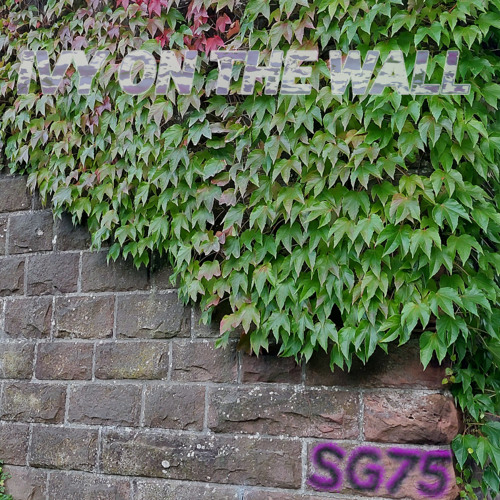 Ivy On The Wall