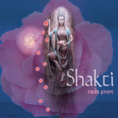 Om Shanti - Nasce a Paz