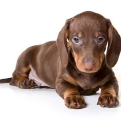 nine9 type beat (prod. ruru)