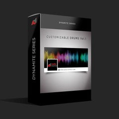 Audio District CUSTOMIZABLE DRUMS Vol.1 (Serum presets & 1100+ Preset Samples Multi Sampled)