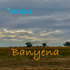 DJ SP3CUL8 - Banyena (IDX Mix)