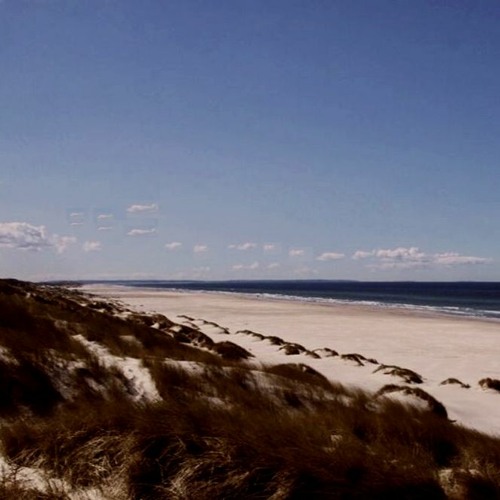 Søvnløs - Klitter (Matinada, 2022)