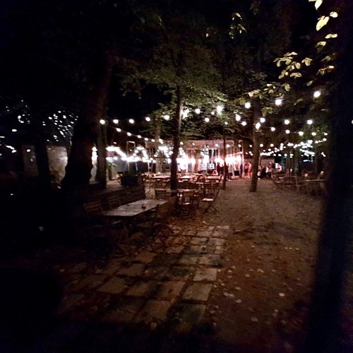 T.picker@Żuk / organic house, 23th September 2023