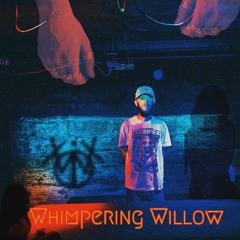 Sleep For A While (Actually I Hope Your Sleep Deprived) Feat.Fxckn8(Prod.Whimpering Willow)