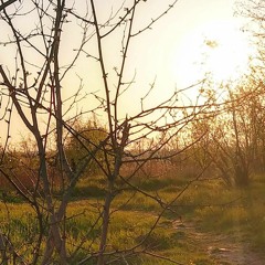 Wilki3 221102 Szybkikoniec