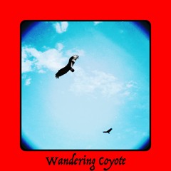 Wandering Coyote