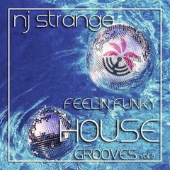 NJ Strange Feelin Funky Vol. 5
