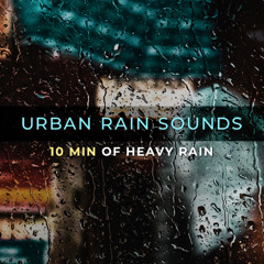 Silent Rainfall | Pure Rain Sounds