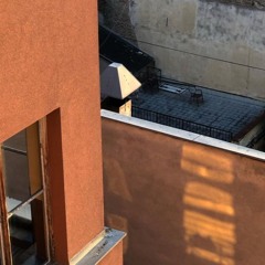 The double life of Veronique