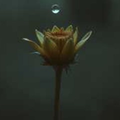 the-tears-finally-drop.mp3