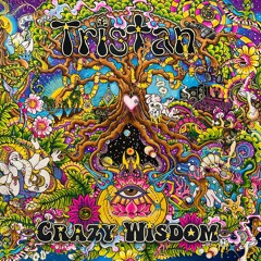 Crazy Wisdom [Album Mix]