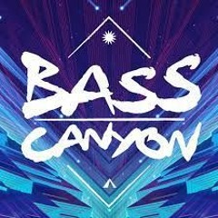 Basscanyon 2023 mix
