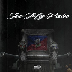 See My Pain (feat. H54D Mizz)