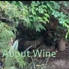 About Wine - w/Fernando Garcin & Art Lip - 2015