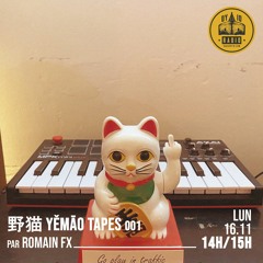 野猫 Yěmāo Tapes #01 - Romain FX - 16/11/2020