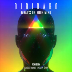 PREMIERE: Dibidabo - What's On Your Mind (Original Mix) [Lndkhn]