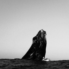 leviathan