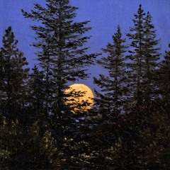 Moonshine (Demo)