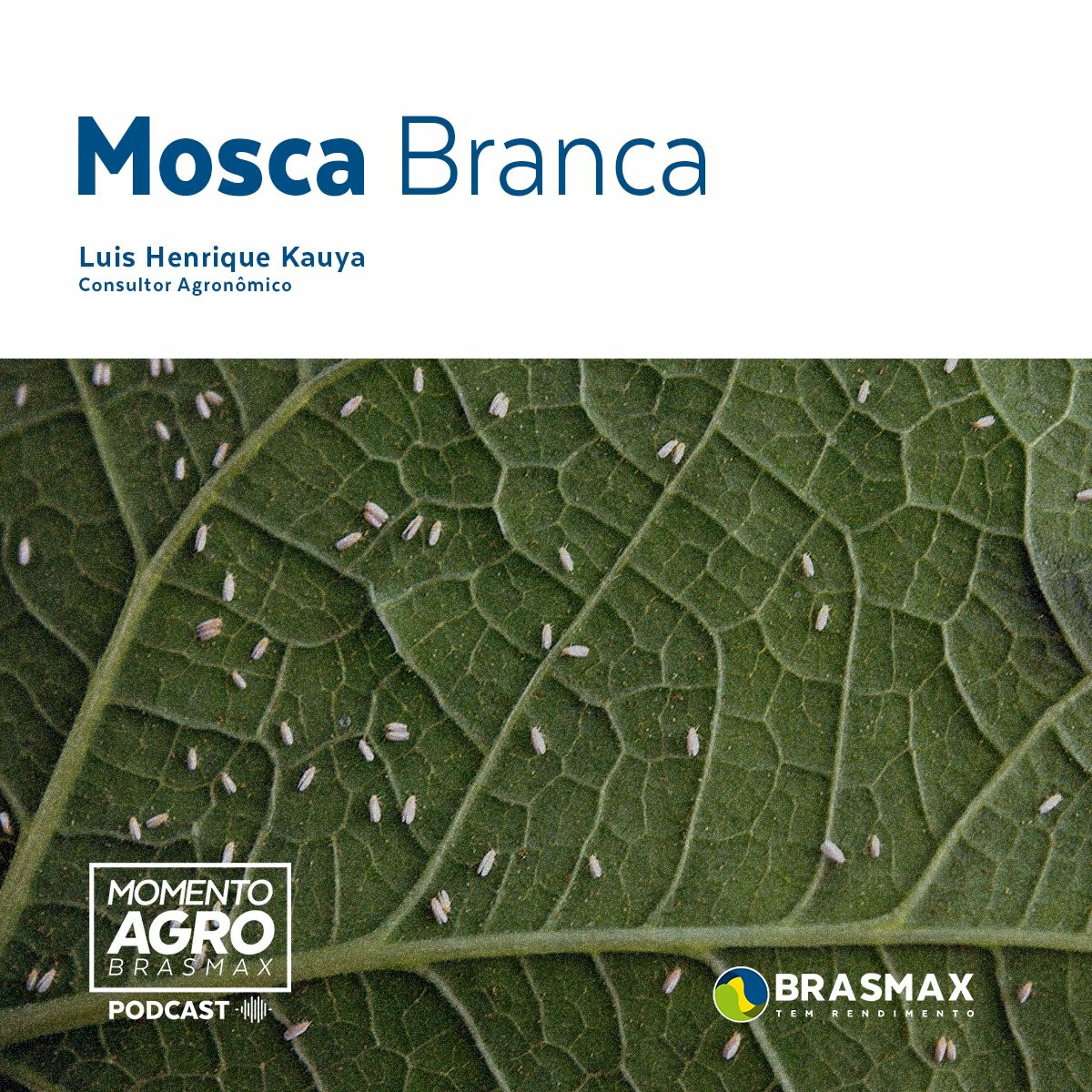 Momento AGRO Brasmax