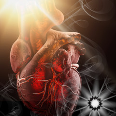 "It's Not Just Love and Light." Live at Heartscapes Sept 26 2025 Picton Ontario