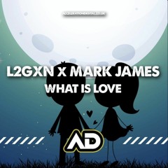 L2GXN & MARK JAMES - WHAT IS LOVE (BABY DONT HURT ME)