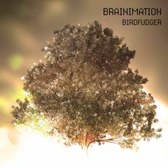 Brainimation - BIRDFUDGER