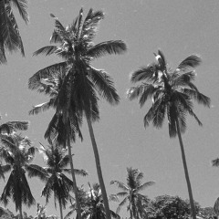 Tech House Koh Samui Mini Mix .