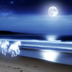 Nights with the white horses again